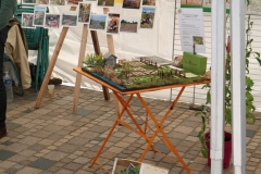 Festival 2018 (6)